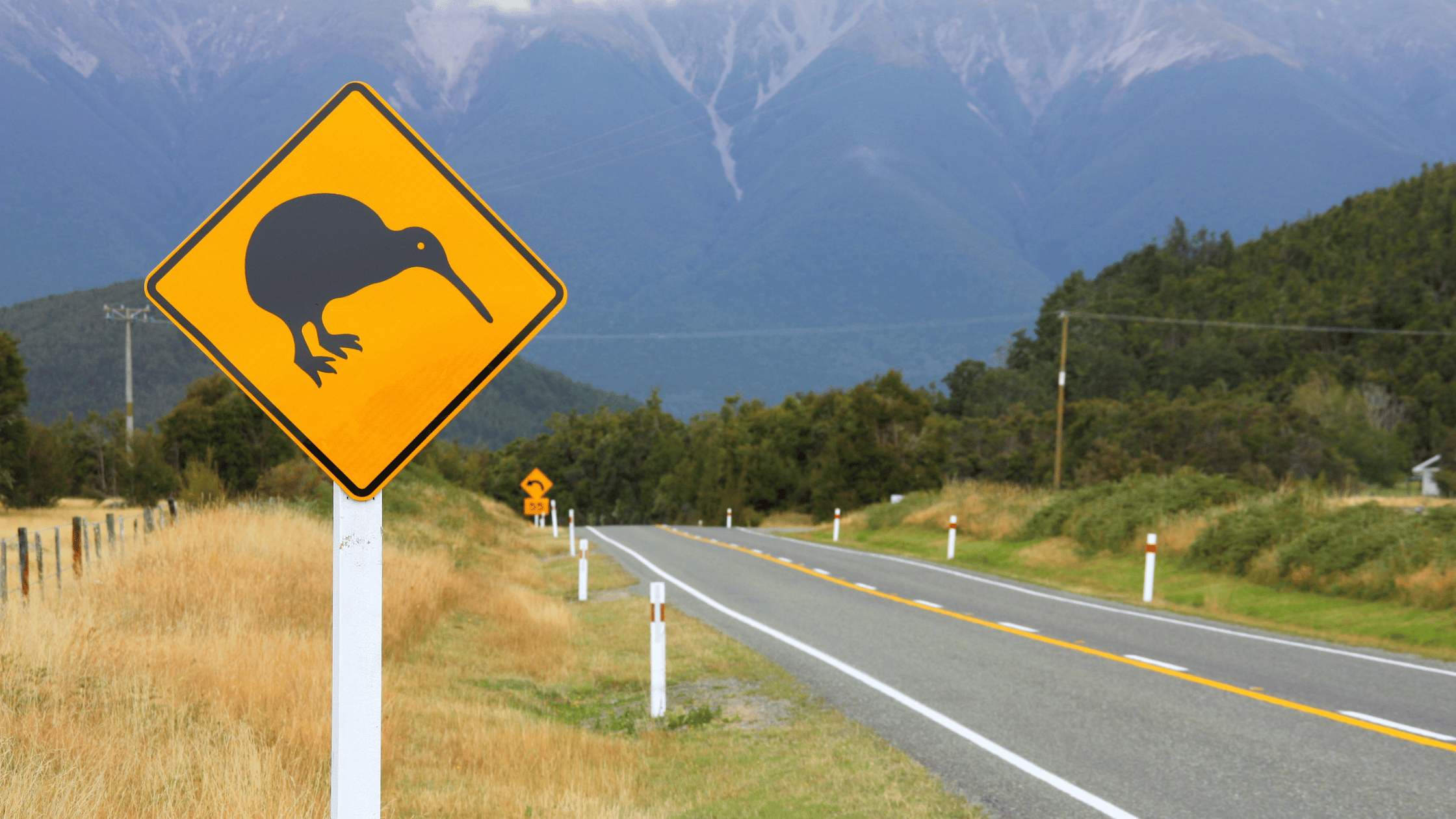 New Pathway to Australian Citizenship for New Zealanders