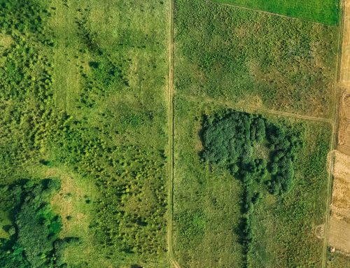 Buying Vacant Land in WA – What You Need to Know