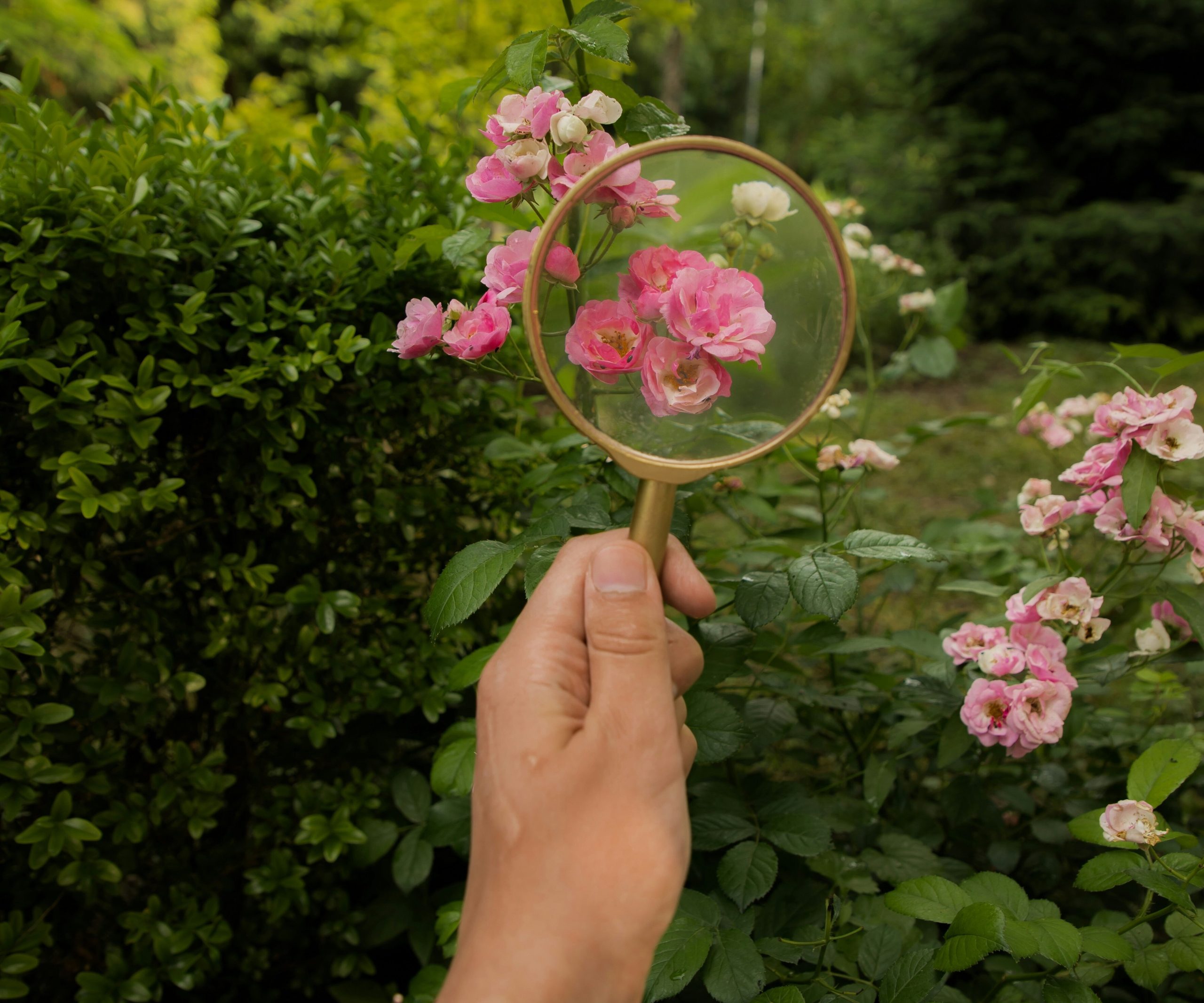 Pre-Settlement Inspections: What You Need to Know